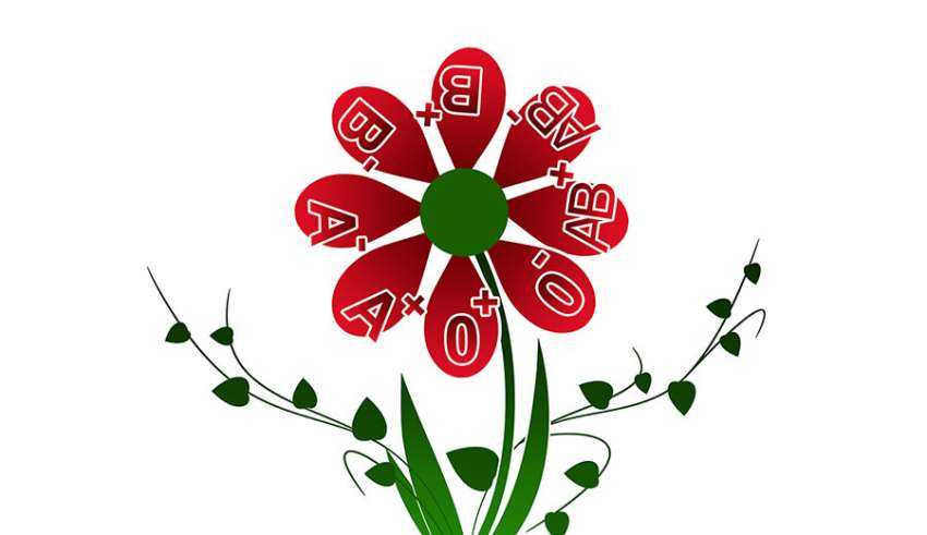 talassemia - dieta-dimagrante.com