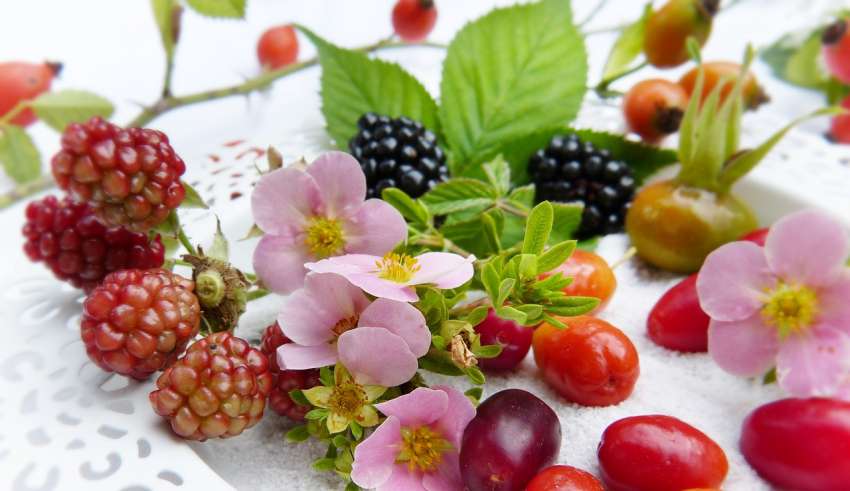 Dieta per il diabete - Frutti di bosco